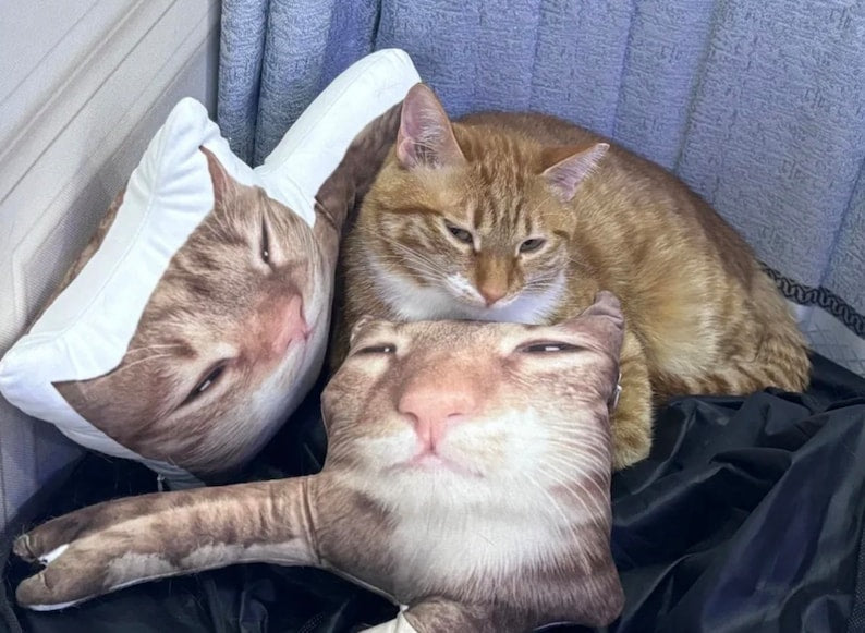 Custom Ugly Cat Pillow, Custom Ugly Dog Pillow, Personalized Funny Pet Photo Pillow, Pet Memorial, Funny Ugly pet Pillow,Pet Loss Gift