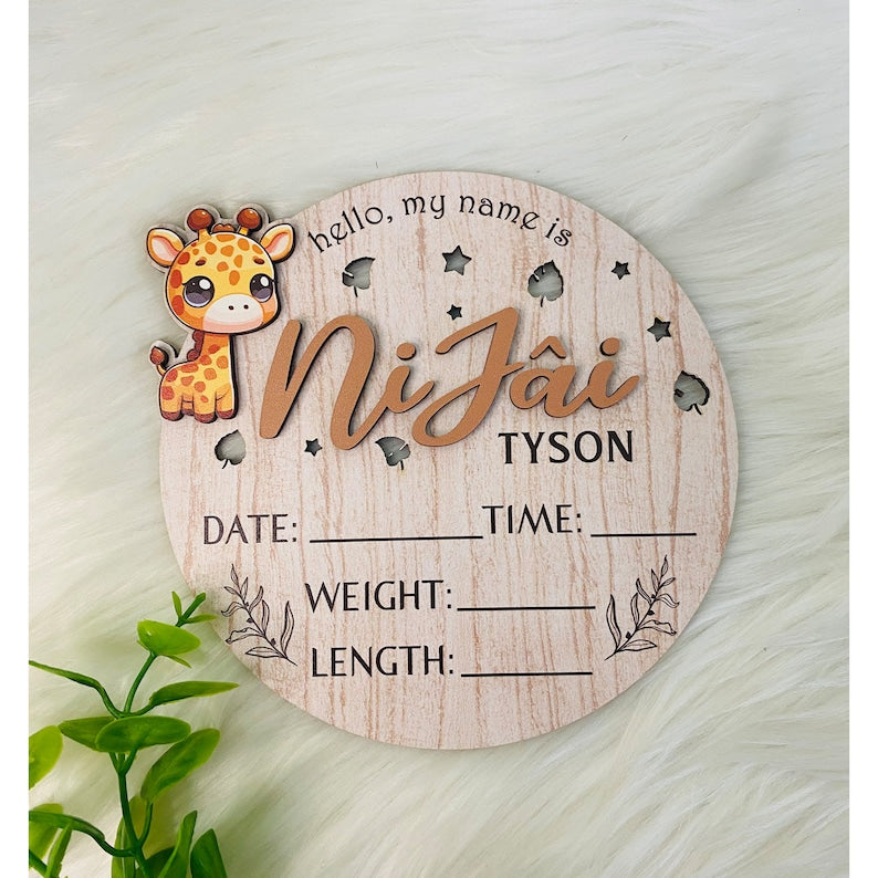 Personalized Baby Announcement Sign with Birth Stats, Birth Stat Sign With Butterfly, Name Reveal, Hello My Name Is Sign, Sign For Hospital