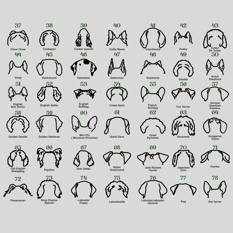 Memorial Light Pet Collar Sign, Dog Memorial Wood Frame With Collar Holder, Dog Memorial Gifts,Pet Loss Gifts,Night light Pet Sympathy