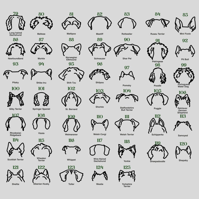 Memorial Light Pet Collar Sign, Dog Memorial Wood Frame With Collar Holder, Dog Memorial Gifts,Pet Loss Gifts,Night light Pet Sympathy