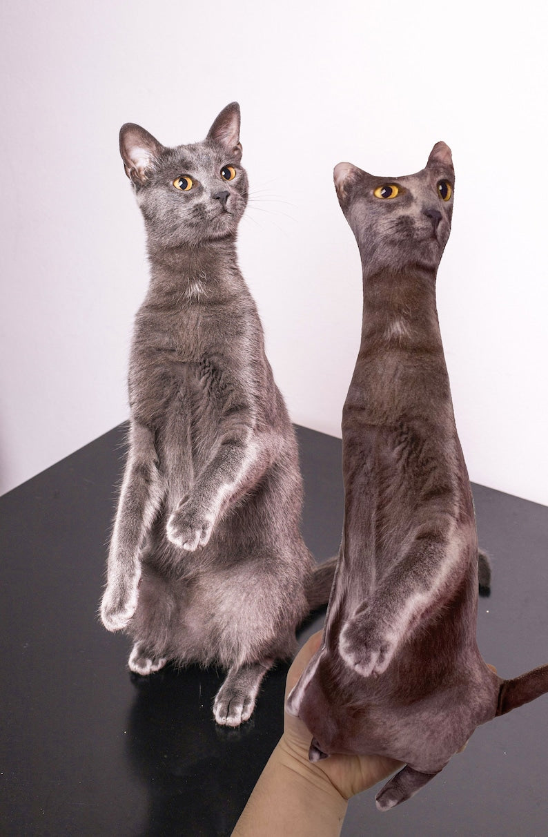 Custom Ugly Cat Pillow, Custom Ugly Dog Pillow, Personalized Funny Pet Photo Pillow, Pet Memorial, Funny Ugly pet Pillow,Pet Loss Gift