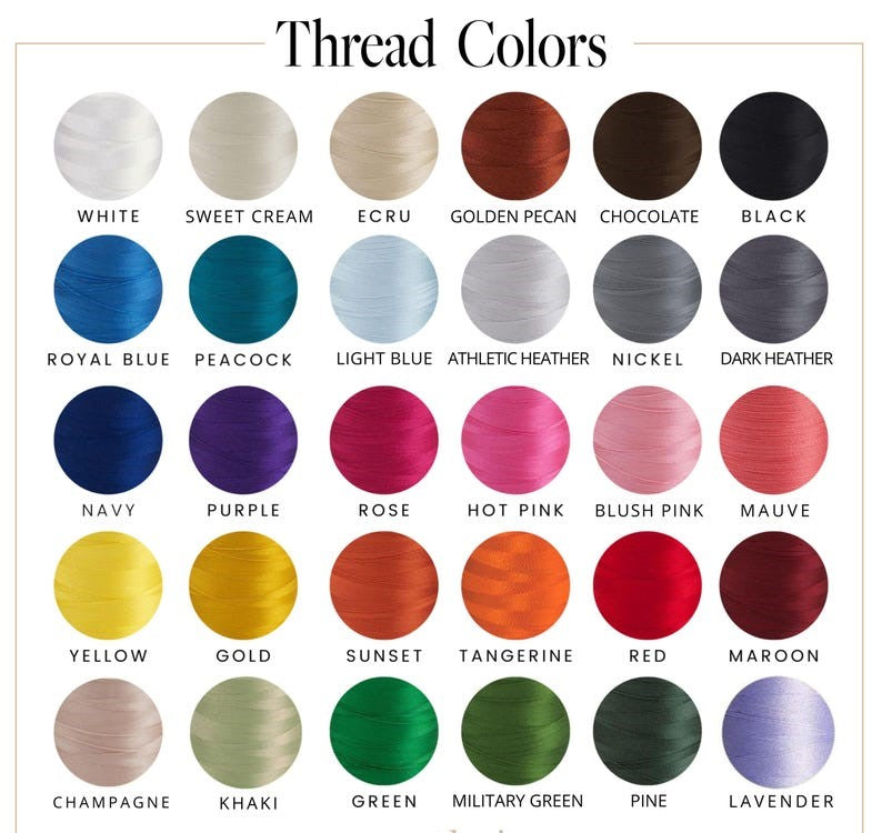 Custom Embroidered Aunt Shirt, Gift for Cool Aunt Niece Nephew, Personalized Mother's Day, Pregnancy Announcement Shirt, Baby Shower Gift