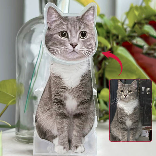 Custom Acrylic Pet Photo Bobblehead, Personalized Cat\Dog Picture shake head Ornament, Unique Auto Decoration, Novel Gifts for Dad Boyfriend