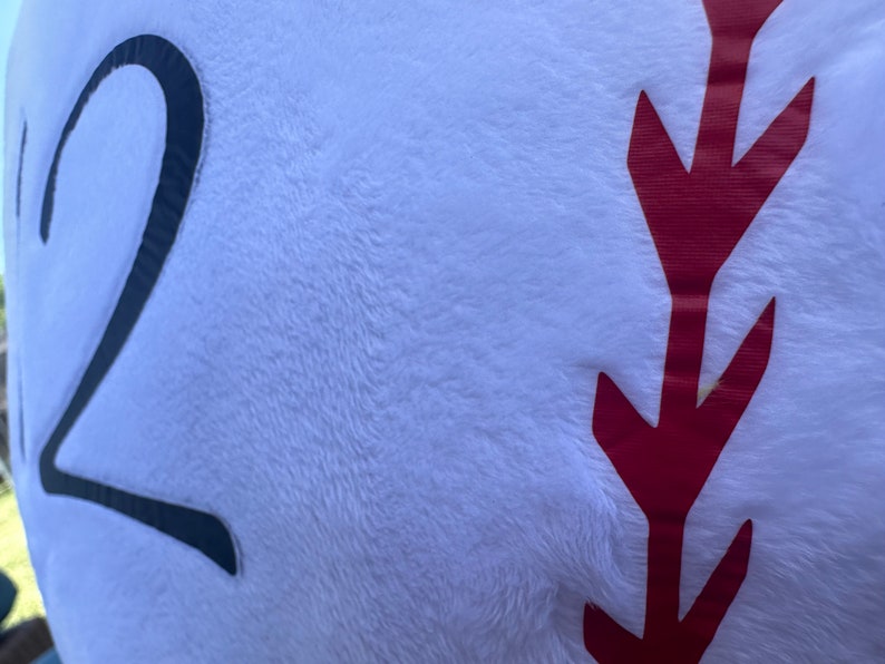 Personalized Baseball Pillow: Custom Name & Number, Sports Decor