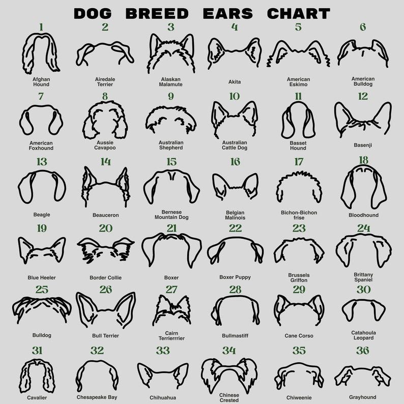 Memorial Light Pet Collar Sign, Dog Memorial Wood Frame With Collar Holder, Dog Memorial Gifts,Pet Loss Gifts,Night light Pet Sympathy