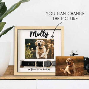 Custom Memorial Pet Collar Sign, Dog Memorial Wood Frame With Collar Holder, Dog Memorial Gifts, Pet Loss Sympathy Gift, Cat Loss Gift