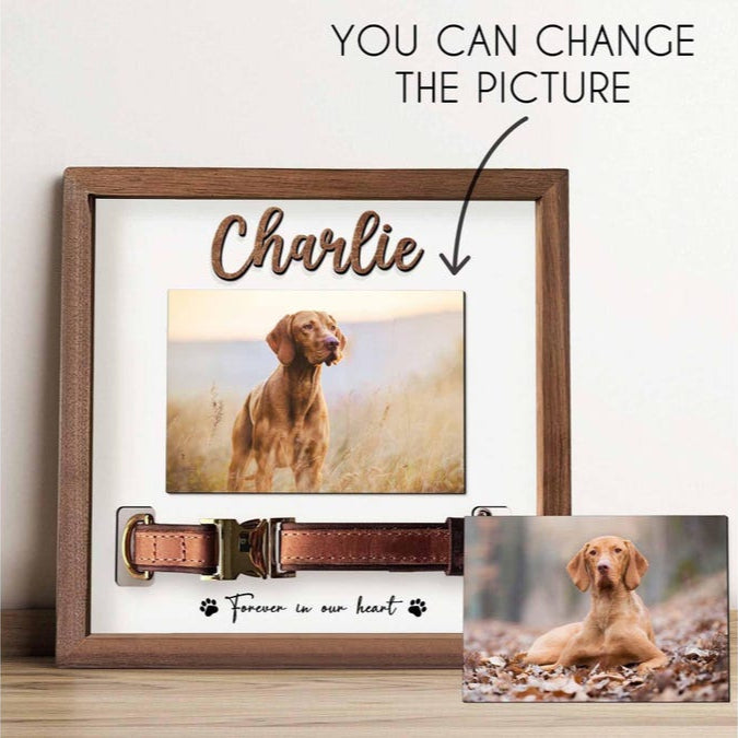 Custom Memorial Pet Collar Sign, Dog Memorial Wood Frame With Collar Holder, Dog Memorial Gifts, Pet Loss Sympathy Gift, Cat Loss Gift