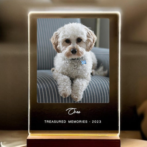 Light Up Pet Memorial Plaque, Personalized Gifts for Pet Loss, Sympathy Gift for Dog, Dog Loss Gift, Cat Loss Gift, Pet Loss Gift