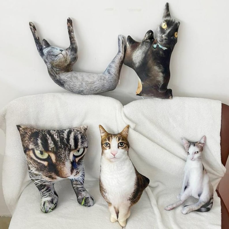 Custom Ugly Cat Pillow, Custom Ugly Dog Pillow, Personalized Funny Pet Photo Pillow, Pet Memorial, Funny Ugly pet Pillow,Pet Loss Gift