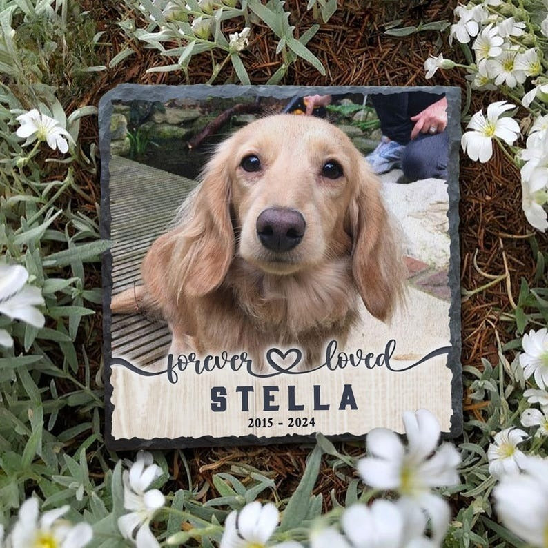 Pet Memorial Stone Dog Memorial Stone Custom Shape Stone, Memorial Garden Stone Pet Headstone With Photo, Pet Grave Stone Pet Grave Marker Pet Sympathy Gift