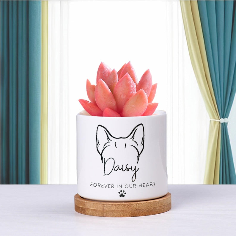 Custom Flower Pot | Personalized Planter | Succulent Gift | Pet Memorial | Cat/Dog Remembrance Gift | Rainbow Bridge | Loss of Pet Tribute