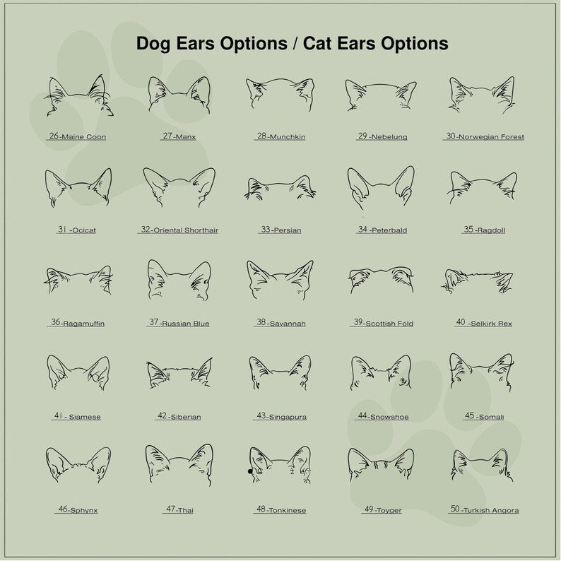 Custom Flower Pot | Personalized Planter | Succulent Gift | Pet Memorial | Cat/Dog Remembrance Gift | Rainbow Bridge | Loss of Pet Tribute