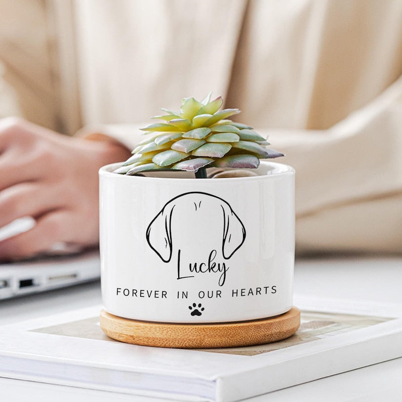 Custom Flower Pot | Personalized Planter | Succulent Gift | Pet Memorial | Cat/Dog Remembrance Gift | Rainbow Bridge | Loss of Pet Tribute