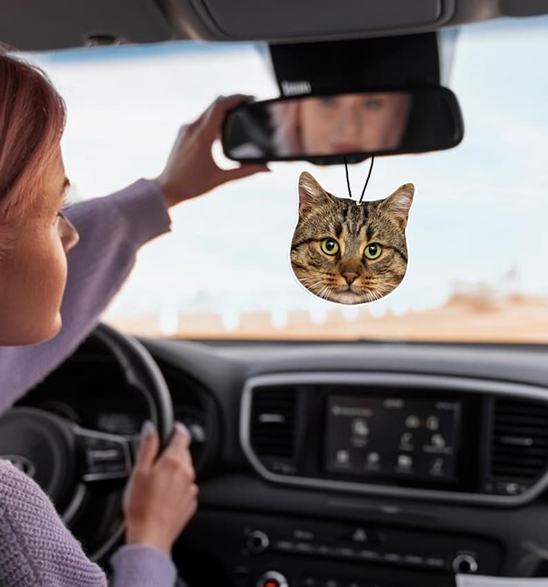 Personalized Cat Face Air Freshener, Custom Pet Portrait Car Ornament Hanging, Duplex Print Dog photo Car Freshies,Loss Of Cat Sympathy Gift