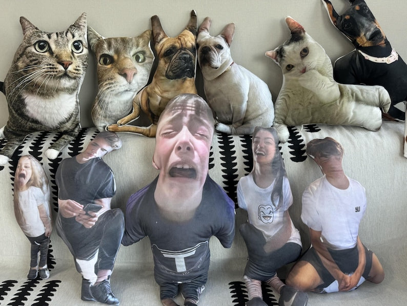 Ugly pillow, custom ugly pillow for friend or pet, Hot Ugly Cat, pet pillow, gift for friend, Halloween gift, body pillow, custom pillow