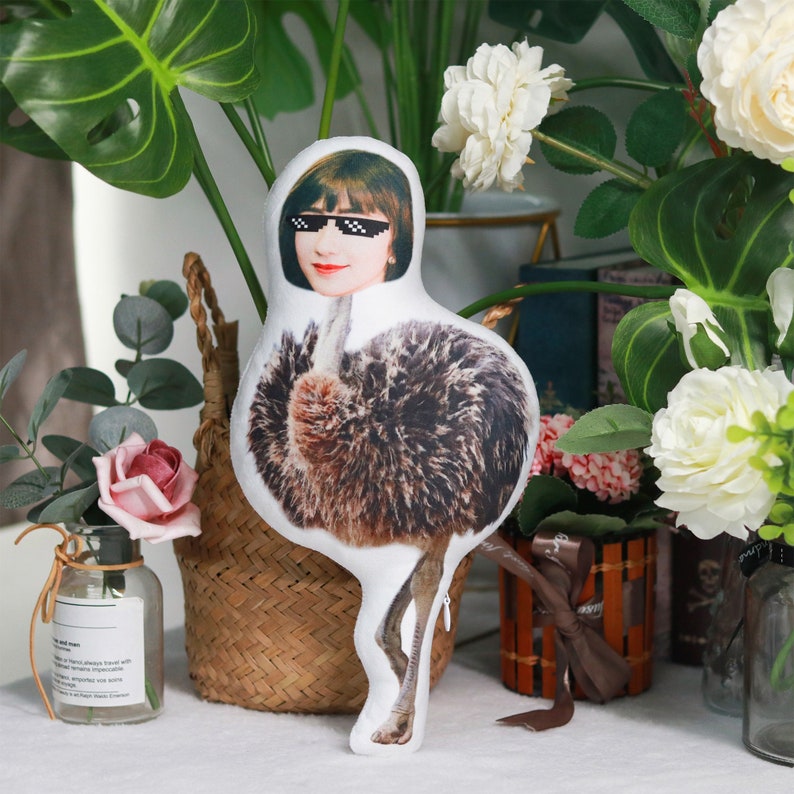 Personalized Human Face Animal Pillow,Custom Photo Cushion, Spoof Gifts, Party Gifts, Birthday Gift for Men, Customized Christmas Gifts