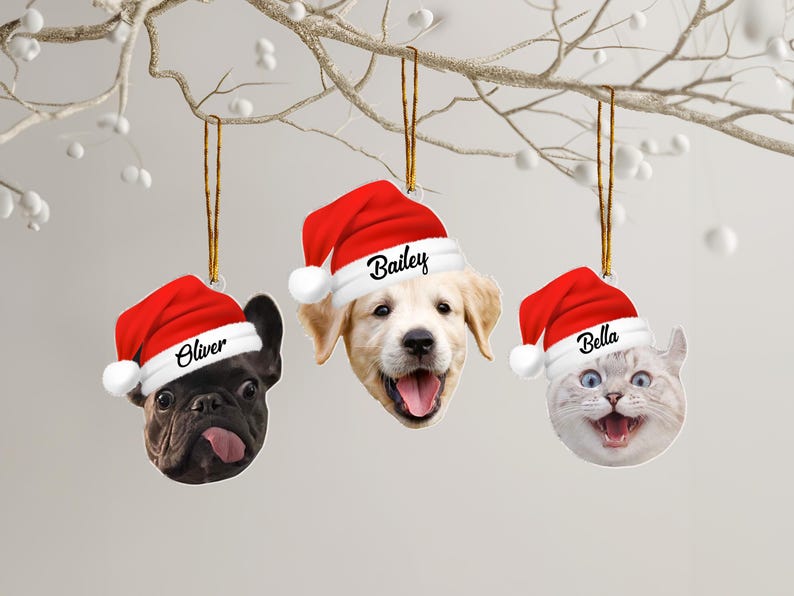 Pet Funny Christmas Face, Personalized Photo Ornament, Pet Memorial Ornament, Dog Cat Holiday Keepsake, Unique Gift For The Festive Season
