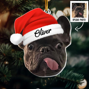 Pet Funny Christmas Face, Personalized Photo Ornament, Pet Memorial Ornament, Dog Cat Holiday Keepsake, Unique Gift For The Festive Season