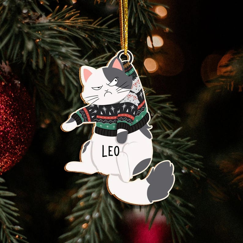 Personalized cat christmas ornaments best sale