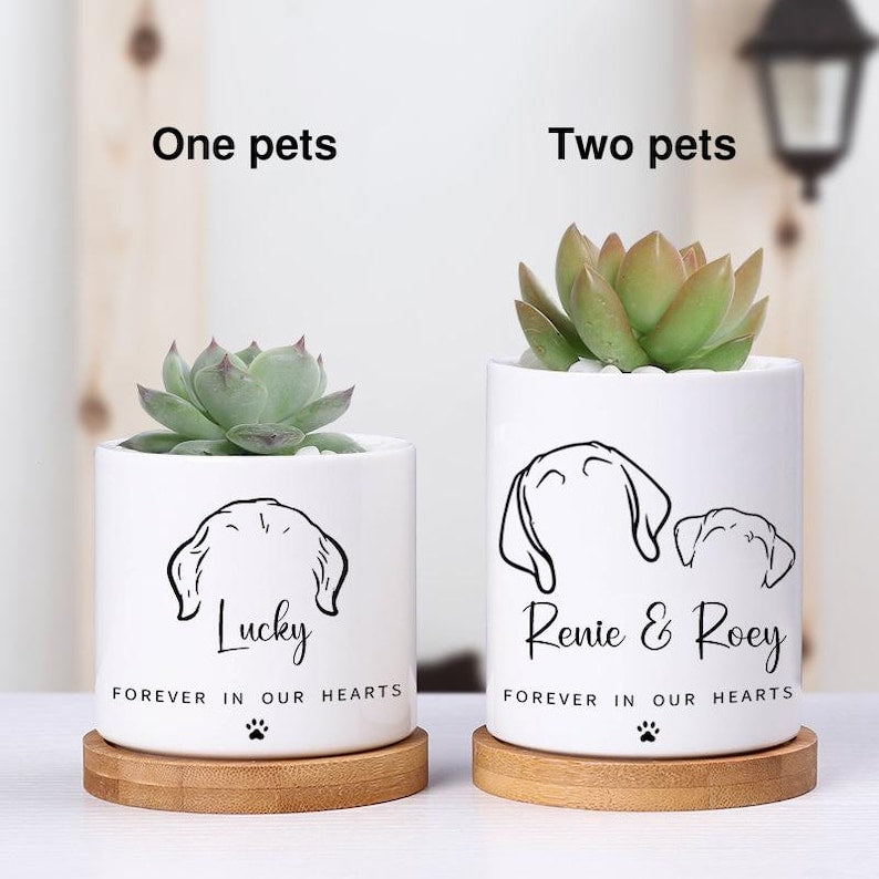 Custom Flower Pot | Personalized Planter | Succulent Gift | Pet Memorial | Cat/Dog Remembrance Gift | Rainbow Bridge | Loss of Pet Tribute
