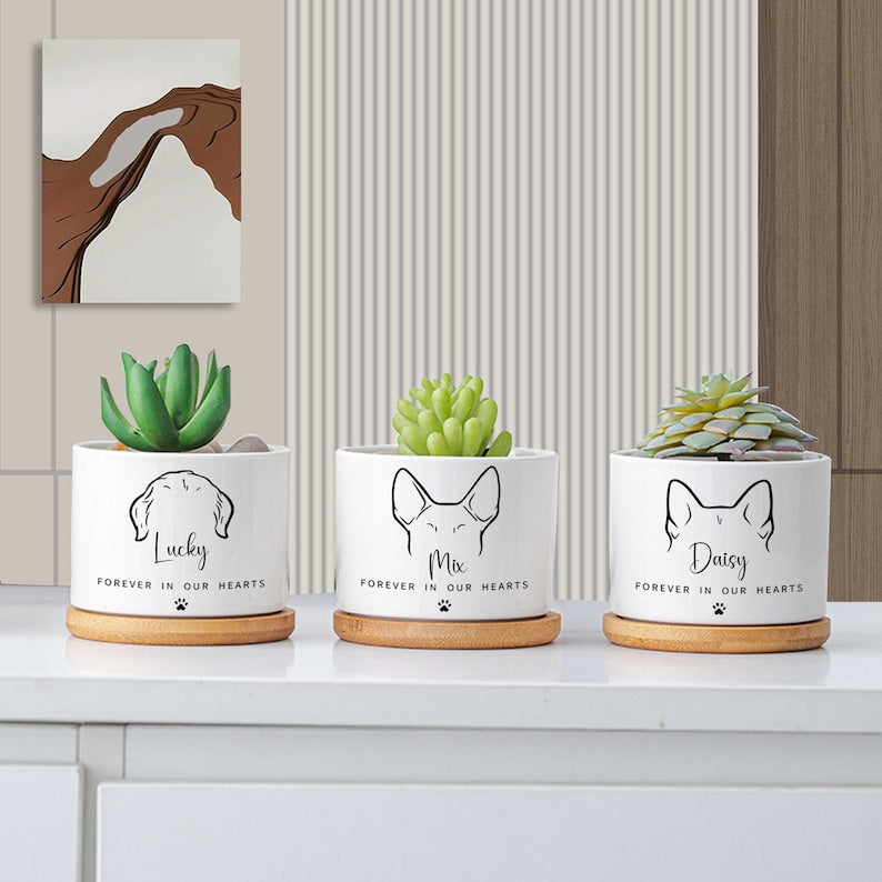 Custom Flower Pot | Personalized Planter | Succulent Gift | Pet Memorial | Cat/Dog Remembrance Gift | Rainbow Bridge | Loss of Pet Tribute