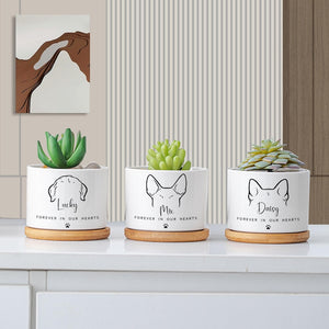 Custom Flower Pot | Personalized Planter | Succulent Gift | Pet Memorial | Cat/Dog Remembrance Gift | Rainbow Bridge | Loss of Pet Tribute