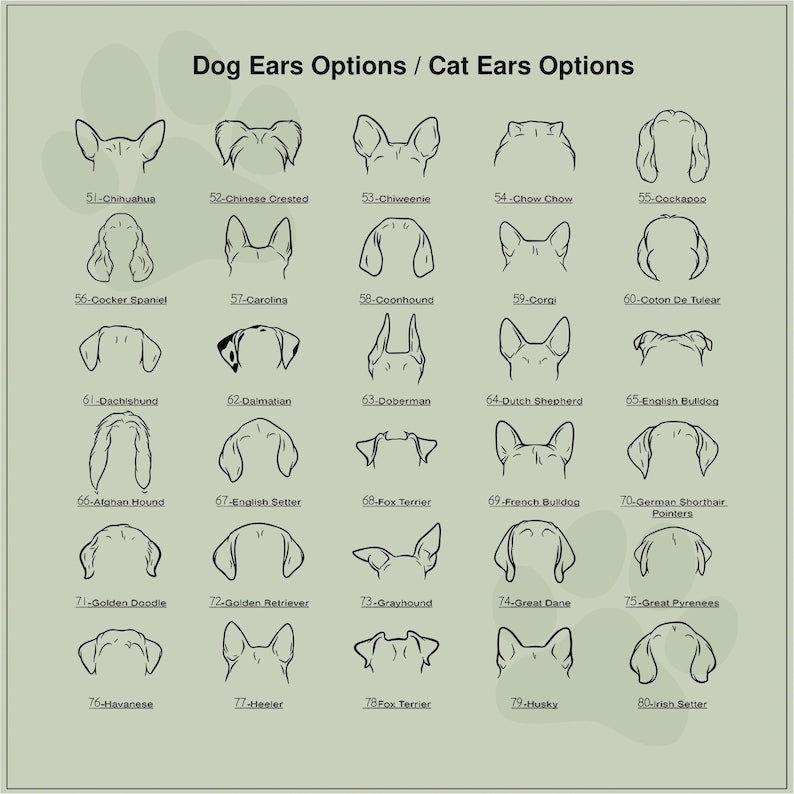 Custom Flower Pot | Personalized Planter | Succulent Gift | Pet Memorial | Cat/Dog Remembrance Gift | Rainbow Bridge | Loss of Pet Tribute