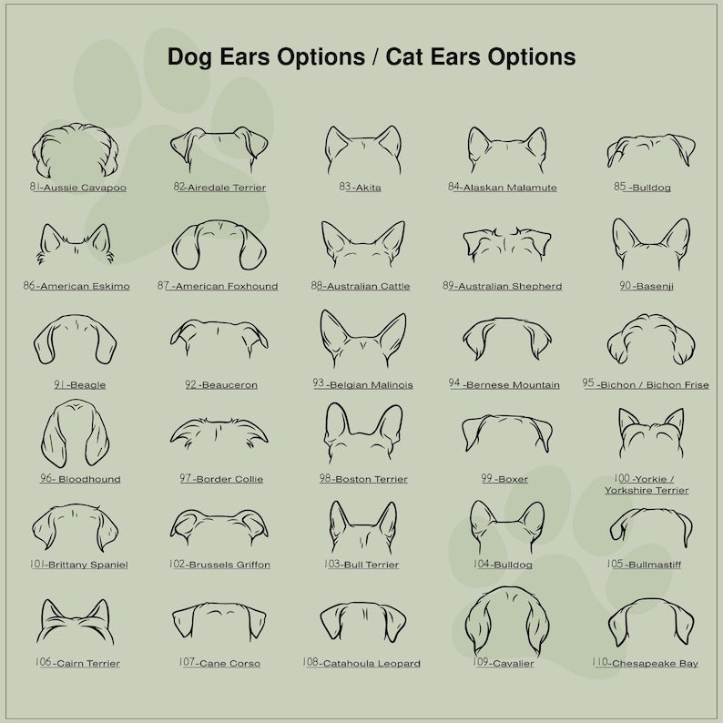 Custom Flower Pot | Personalized Planter | Succulent Gift | Pet Memorial | Cat/Dog Remembrance Gift | Rainbow Bridge | Loss of Pet Tribute