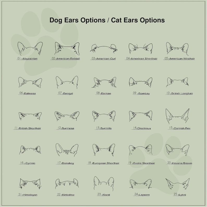 Custom Flower Pot | Personalized Planter | Succulent Gift | Pet Memorial | Cat/Dog Remembrance Gift | Rainbow Bridge | Loss of Pet Tribute