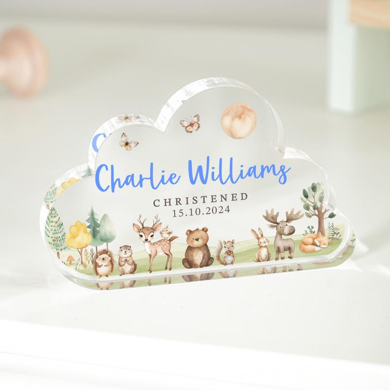 Personalised Christening Gift, Woodland Cloud Baby Plaque, Christening Keepsake Gift, Gift for New Baby, Baptised Gift, Dedicated Gifts