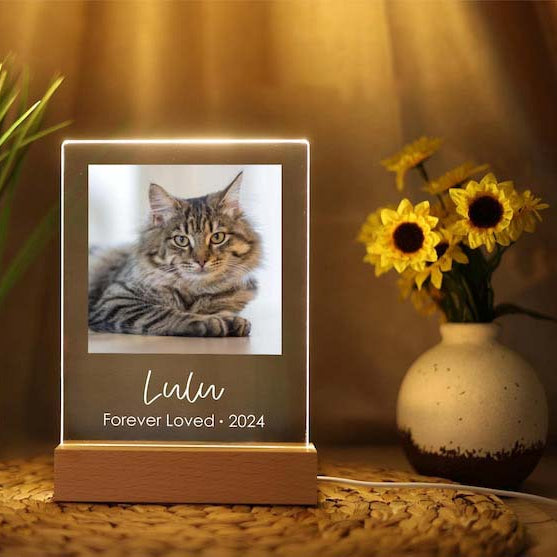 Pet Cat Dog Memorial loss Acrylic Night Light | Personalized Bedroom LED Decor Sign | Light up Sign | Gift for Pets