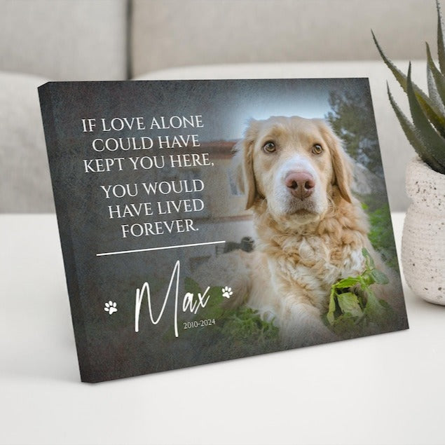 Custom Dog Memorial Gift, Dog Loss Gifts for Owner, Pet Memorial Frame w/ Photo & Quote, Cat Passed Away Remembrance Condolence Wall Decor