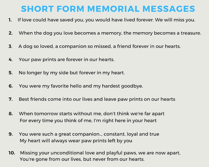 Custom Dog Memorial Gift, Dog Loss Gifts for Owner, Pet Memorial Frame w/ Photo & Quote, Cat Passed Away Remembrance Condolence Wall Decor