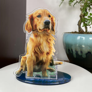 Custom Acrylic Pet Photo Bobblehead, Personalized Cat\Dog Picture shake head Ornament, Unique Auto Decoration, Novel Gifts for Dad Boyfriend
