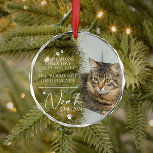 Custom Cat Memorial Gift, Pet Loss Gifts for Owner, Cat Memorial Ornament, Cat Loss Gift, Cat Remembrance, Photo Memorial Dog Cat Ornament