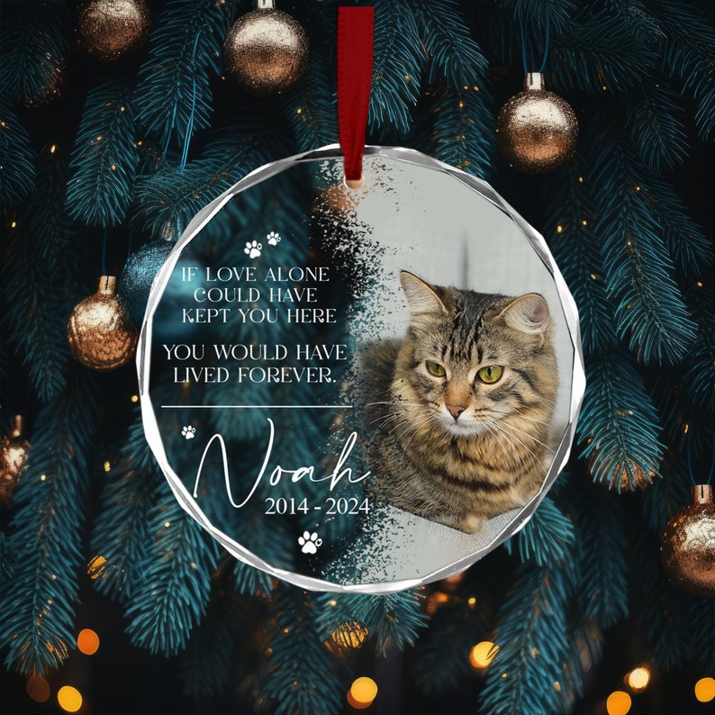 Custom Cat Memorial Gift, Pet Loss Gifts for Owner, Cat Memorial Ornament, Cat Loss Gift, Cat Remembrance, Photo Memorial Dog Cat Ornament