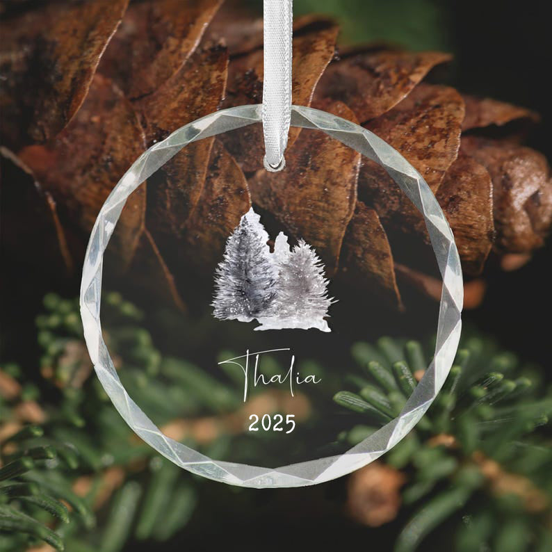 Personalized Glass Ornament 2025 - Custom Xmas Tree Decoration, Unique Holiday Keepsake, Family Name Ornament, Custom Christmas Gift