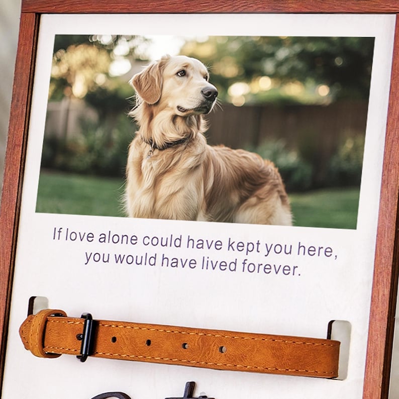 Memorial Pet Collar Sign, Dog Memorial Wood Frame With Collar Holder, Custom Dog Memorial Gifts, Pet Loss Gifts