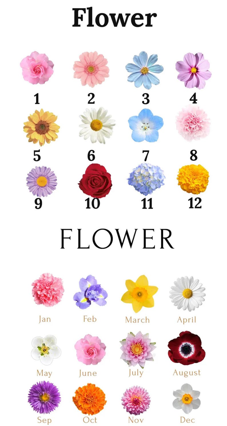 Personalized Friendship Ring Dish/Sisters Birthday Gift/Friends Gift/Bestie Gift/Friendship Gifts/If friends were flowers/Graduation Gifts