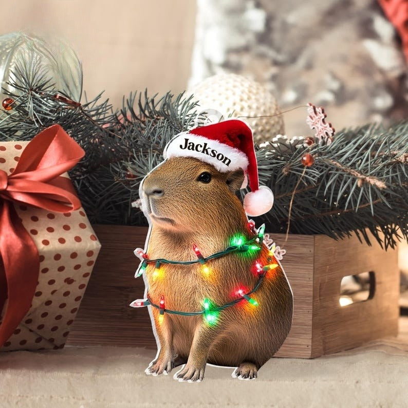 Personalized Capybara Acrylic Ornament, 2D Acrylic Flat Ornament Not 3D, Cute Capybara Gift, Capybara Gift Stuff, Animal Lover Gift For Her