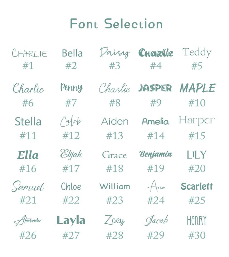 Personalized pet blanket, dog name blanket, cat blanket, plush dog blanket, gift for pet lover, dog mom gift, new puppy gift, christmas gift