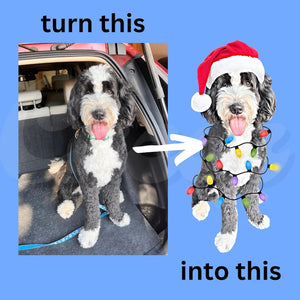 Custom Dog Sweatshirt, Holiday gift for Dog Lovers, Holiday Pet Crewneck, Personalized dog Christmas sweater, Custom Pet Illustration