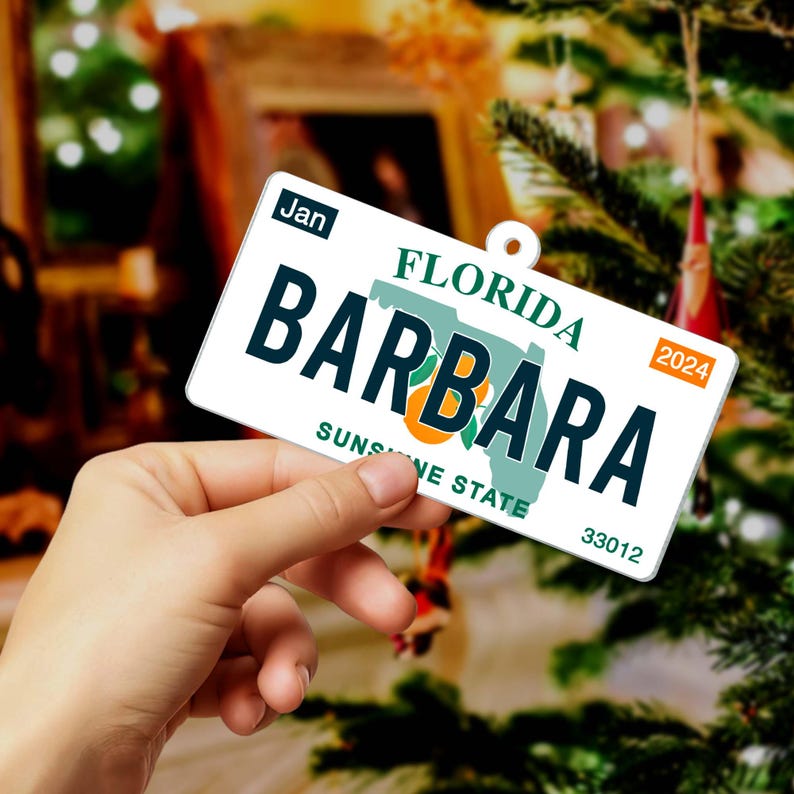Personalized State License Ornament, Custom New Driver Ornament 2024, Drivers License Ornament, Christmas 2024 Ornament, Christmas Gift