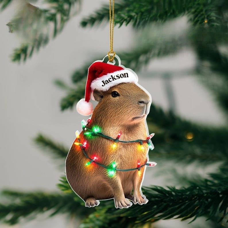 Personalized Capybara Acrylic Ornament, 2D Acrylic Flat Ornament Not 3D, Cute Capybara Gift, Capybara Gift Stuff, Animal Lover Gift For Her