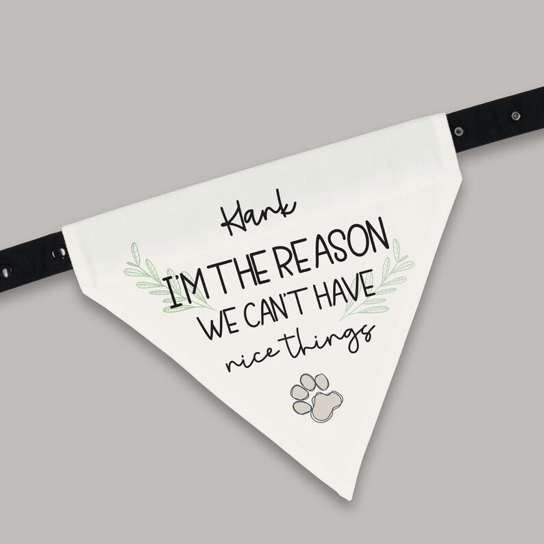 Funny Dog Bandana | Personalized Dog Bandana | Christmas Gift for Dog | This Is Why We Can't Have Nice Things Dog Bandana | Funny Dog Gift