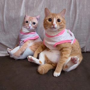 Custom ugly pillow,Ugly pillow, Hot Ugly Cat, pillow gift for friend, Funny Gifts, Birthday Gifts, Christmas Gifts,Custom Realistic Pillow