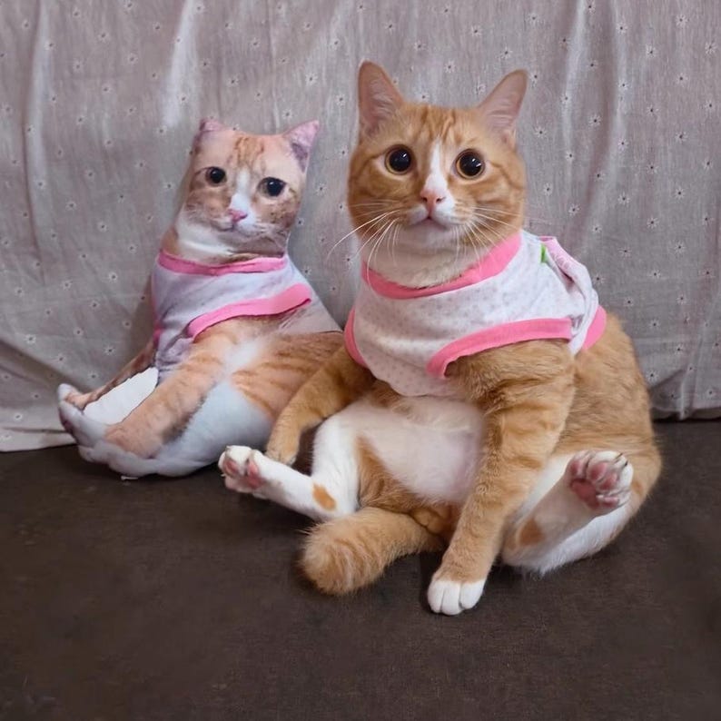 Custom Ugly Cat Pillow, Custom Ugly Dog Pillow, Personalized Funny Pet Photo Pillow, Pet Memorial, Funny Ugly pet Pillow,Pet Loss Gift