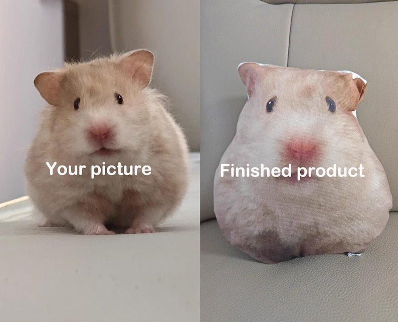 Custom ugly pillow,Ugly pillow, Hot Ugly Cat, pillow gift for friend, Funny Gifts, Birthday Gifts, Christmas Gifts,Custom Realistic Pillow