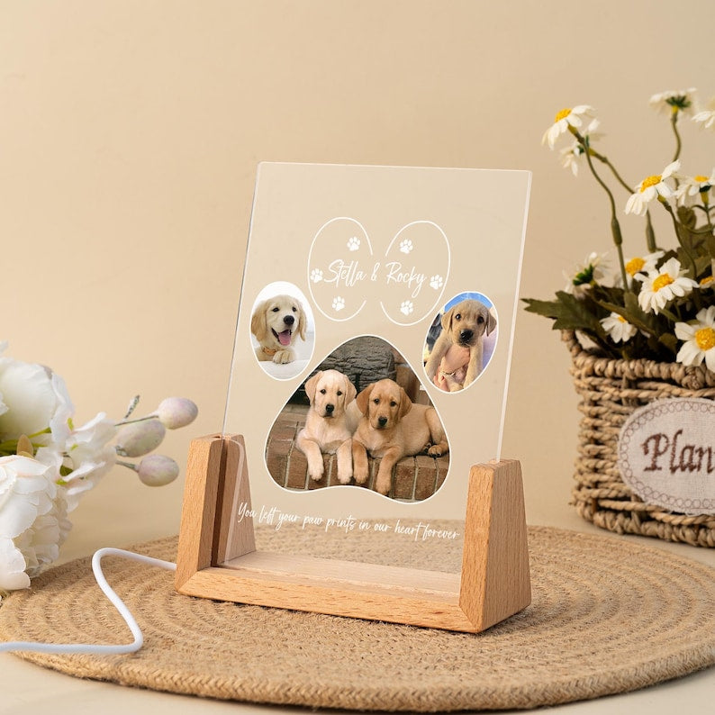 Personalized Pet Memorial LED Night Light, Pet Loss Acrylic Frame, Pet Photo Light, Dog Cat Loss Sympathy Gift, Christmas Gifts for Dog Mom