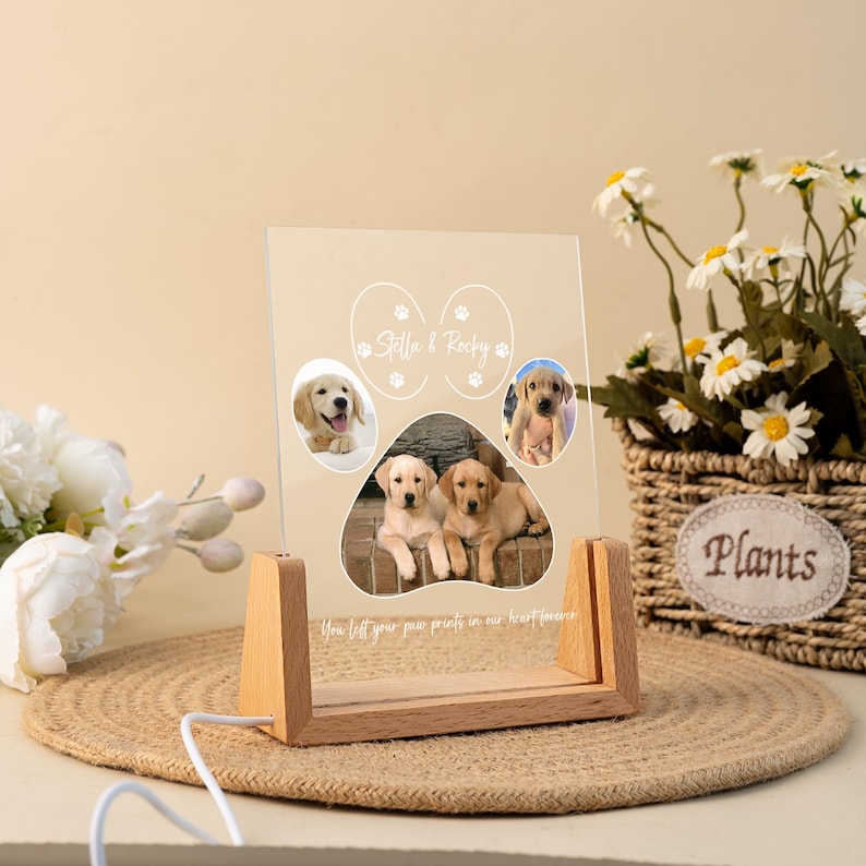 Personalized Pet Memorial LED Night Light, Pet Loss Acrylic Frame, Pet Photo Light, Dog Cat Loss Sympathy Gift, Christmas Gifts for Dog Mom